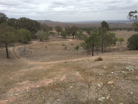 2019 Drought Conditions